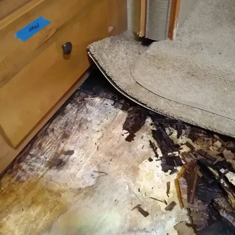 Best Wood Floor Water Damage Service in Carver, MA